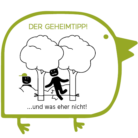 Spielplatzordnung_Vogel9.png